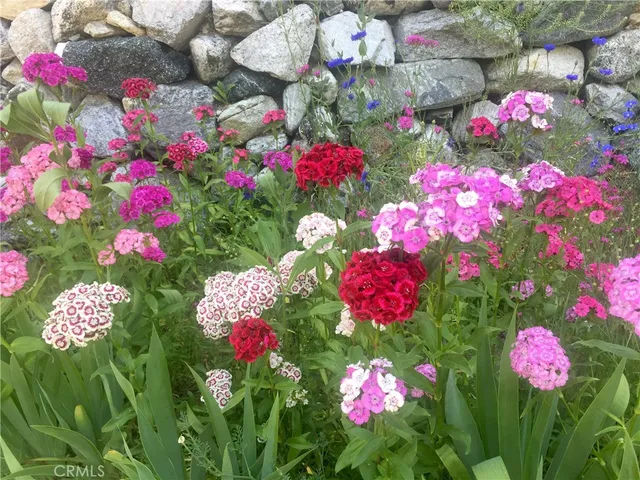 $333,000 | 9112 Torrey Pines Drive, Forest Falls, CA 92339