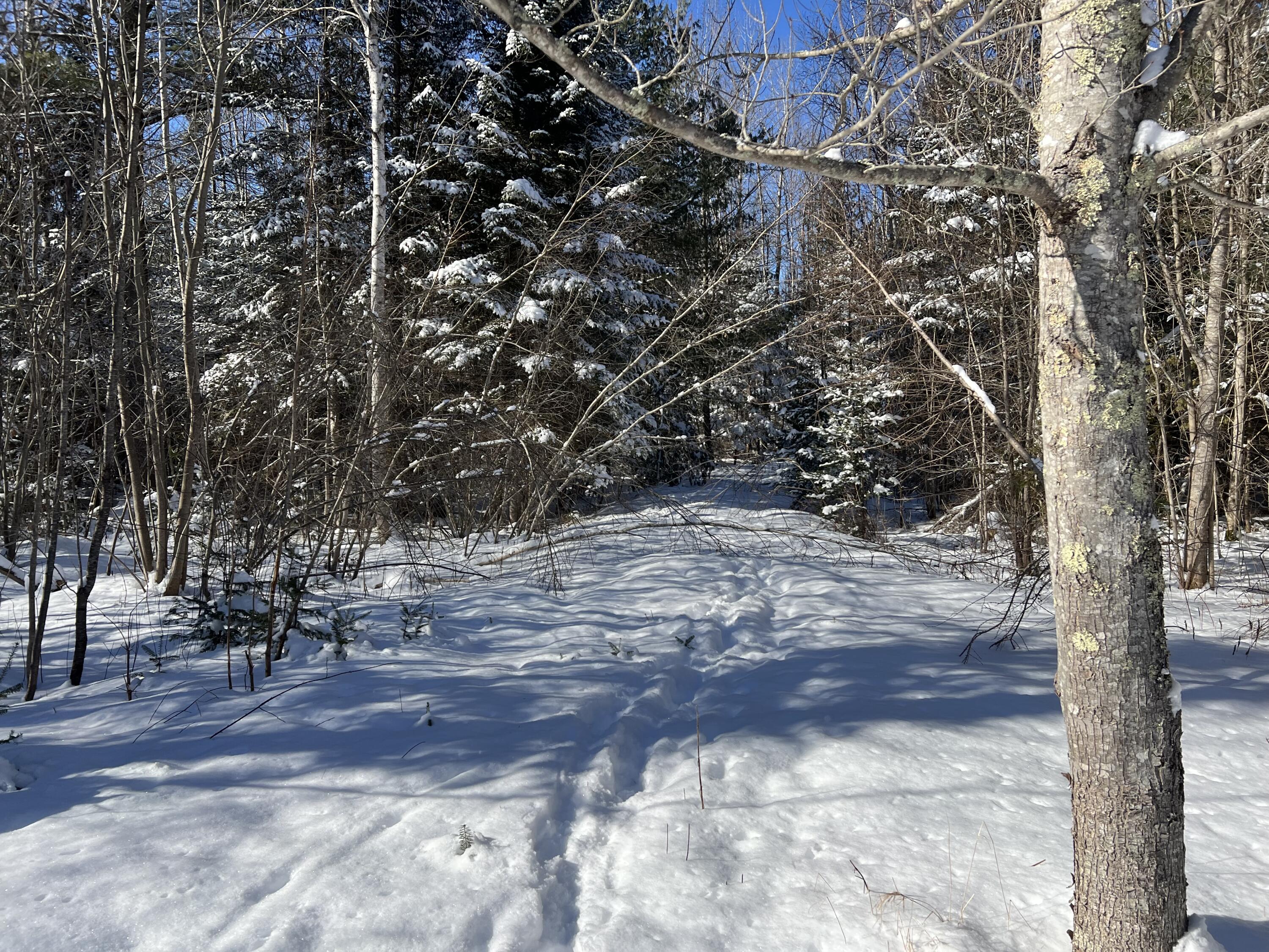 553 Corinna Road St. Albans, ME 04971 - Photo 12 of 20 IMG_4970