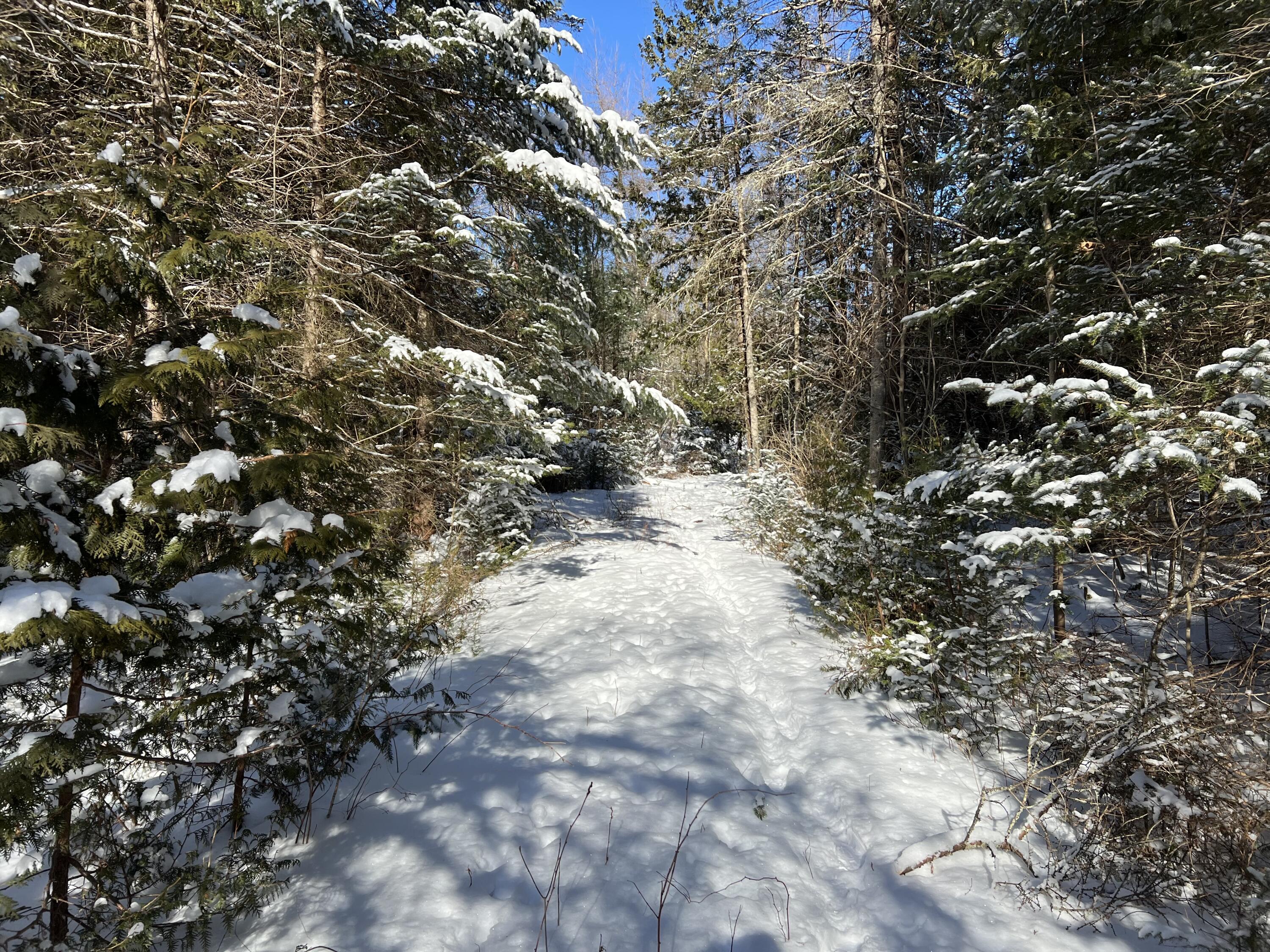 553 Corinna Road St. Albans, ME 04971 - Photo 15 of 20 IMG_4973