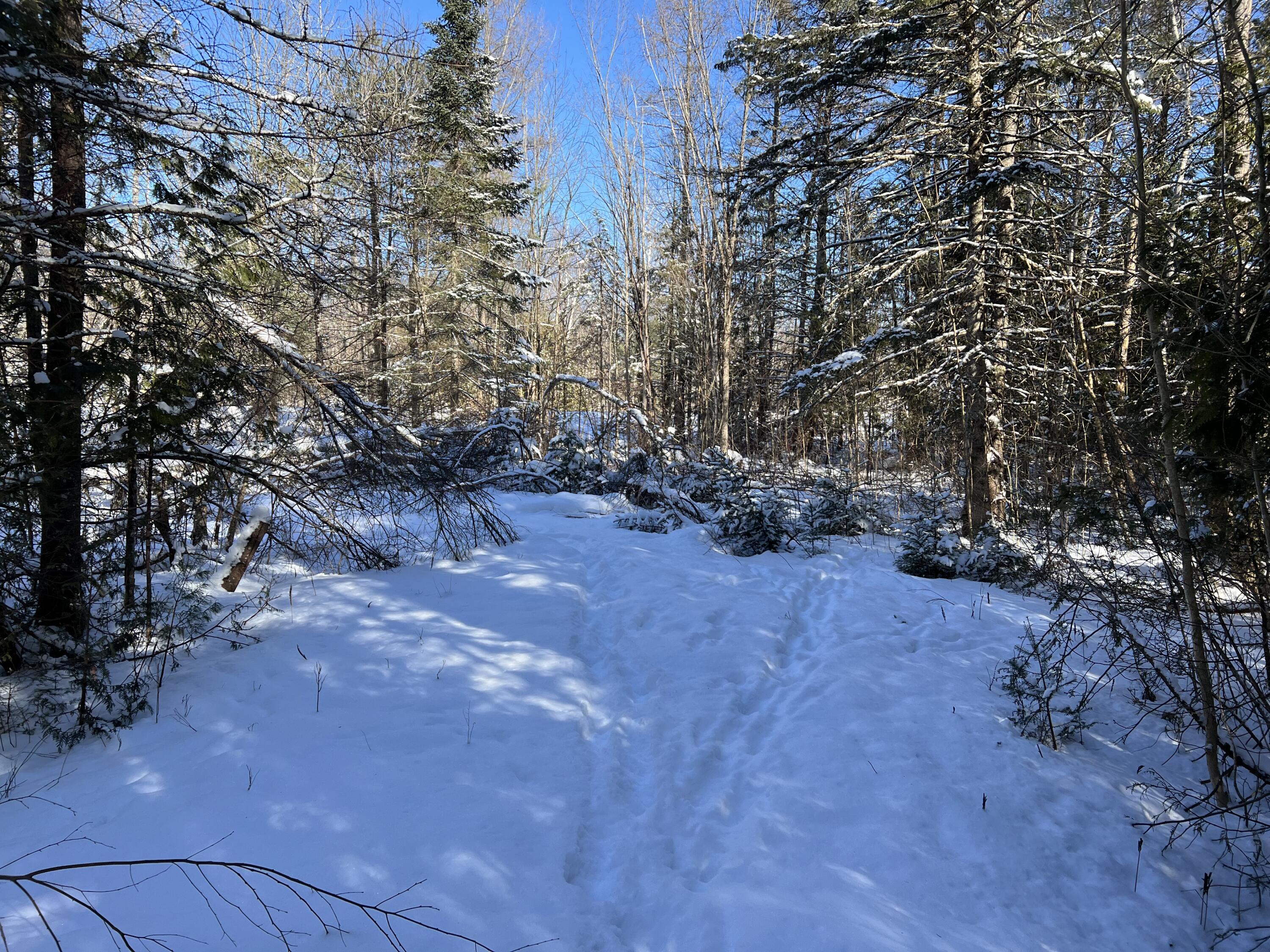 553 Corinna Road St. Albans, ME 04971 - Photo 16 of 20 IMG_4975