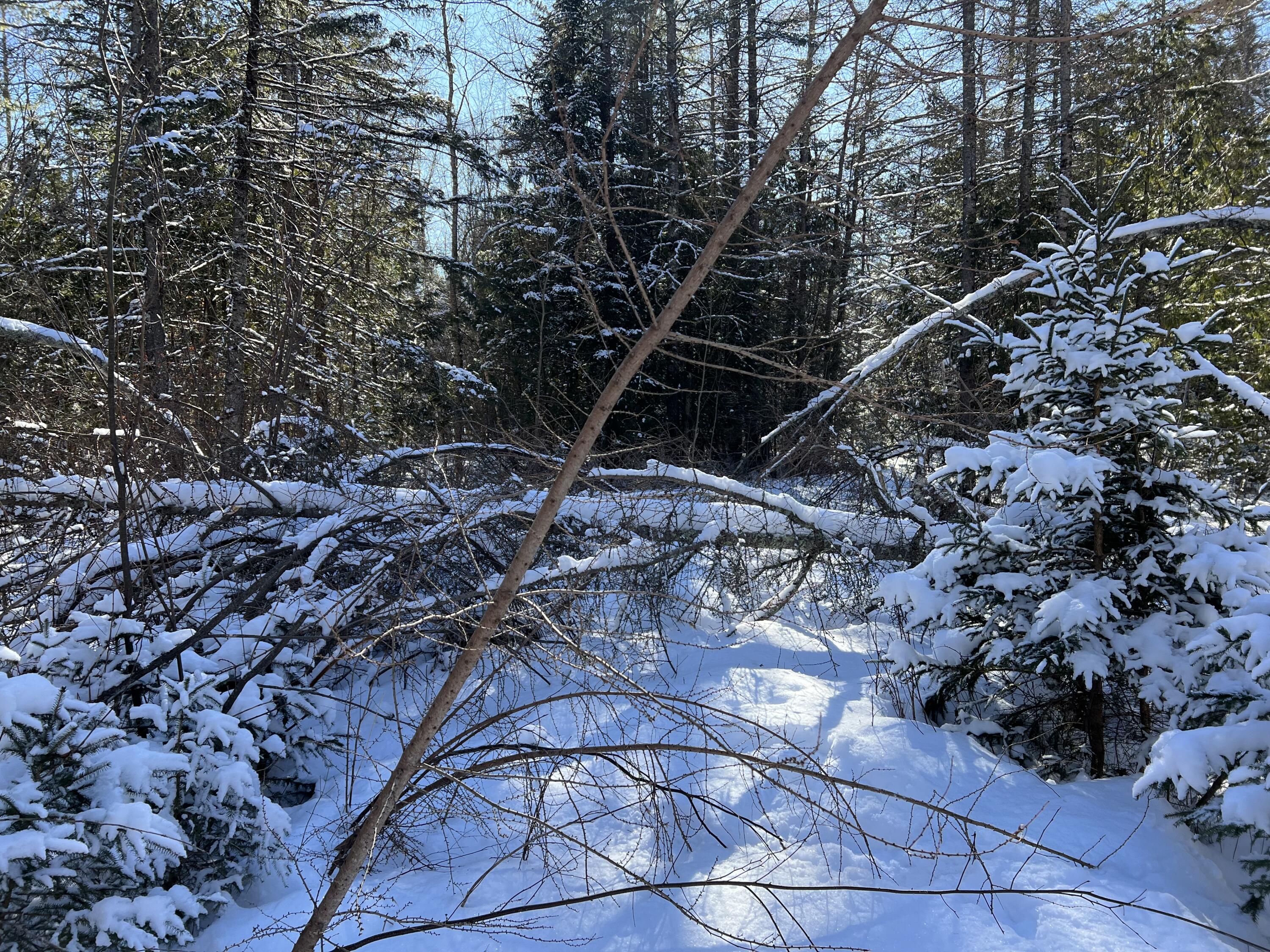 553 Corinna Road St. Albans, ME 04971 - Photo 18 of 20 IMG_4977