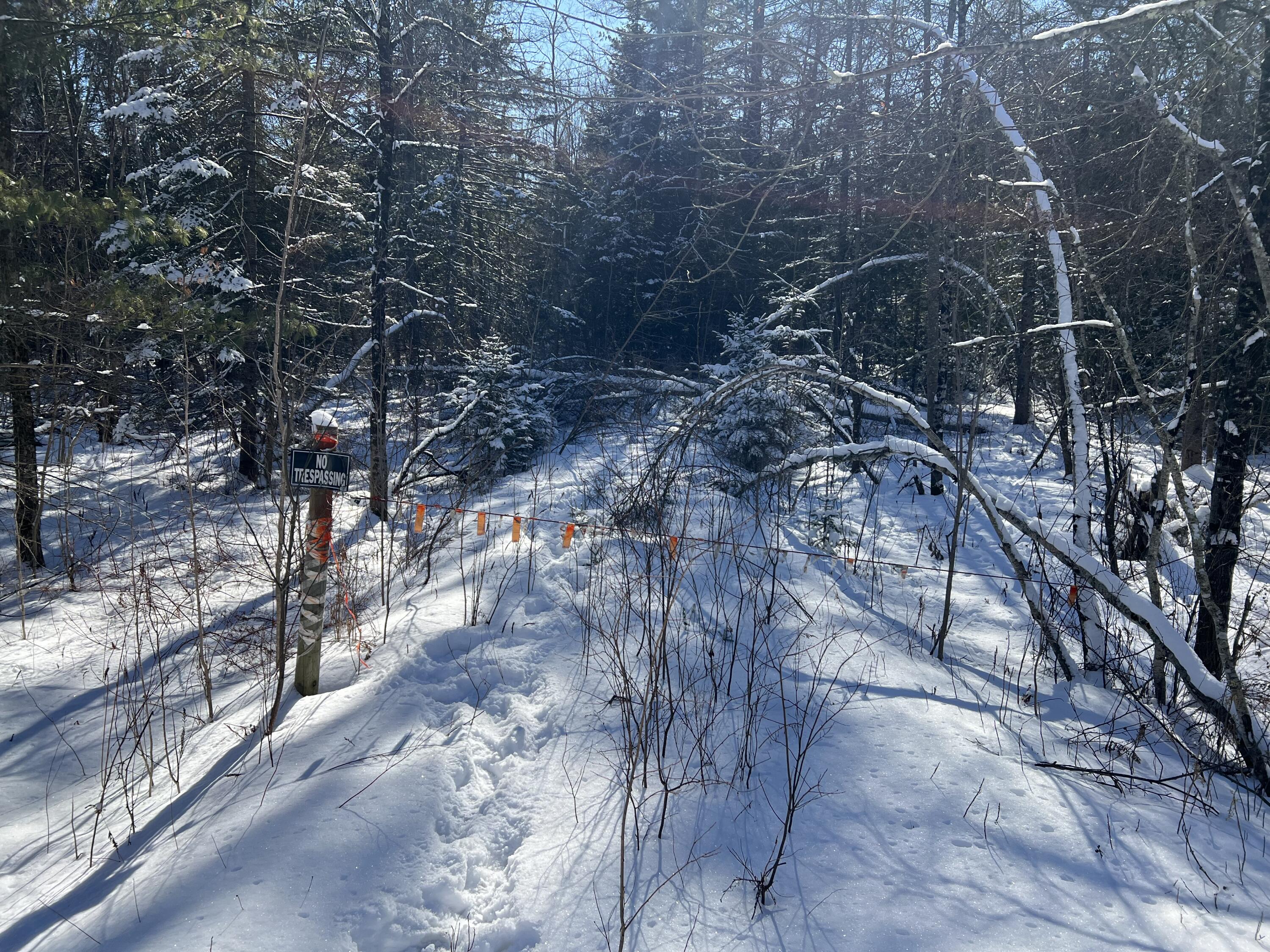 553 Corinna Road St. Albans, ME 04971 - Photo 20 of 20 IMG_4979