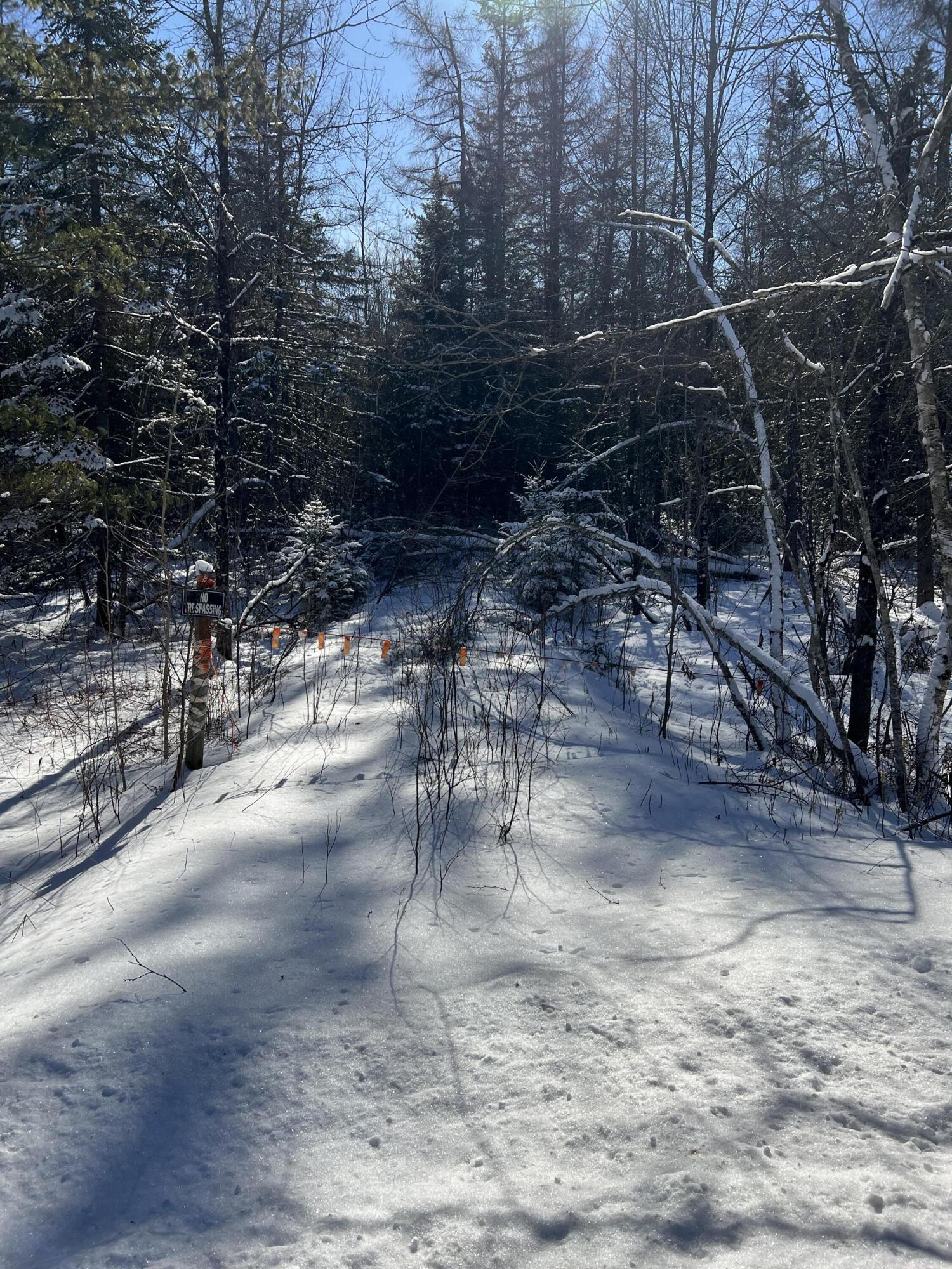 553 Corinna Road St. Albans, ME 04971 - Photo 7 of 20 IMG_4965