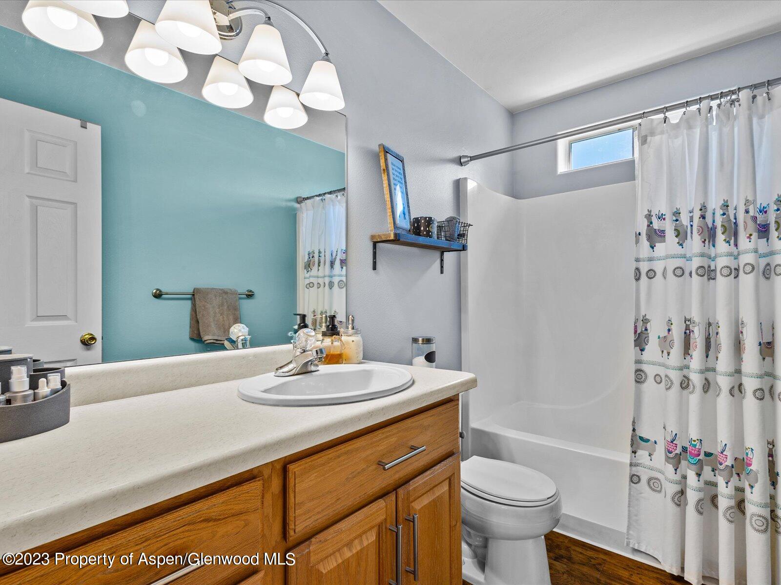 1562 Anvil View Avenue Rifle, CO 81650 - Photo 18 of 26 a bathroom with a sink a toilet and a mirror