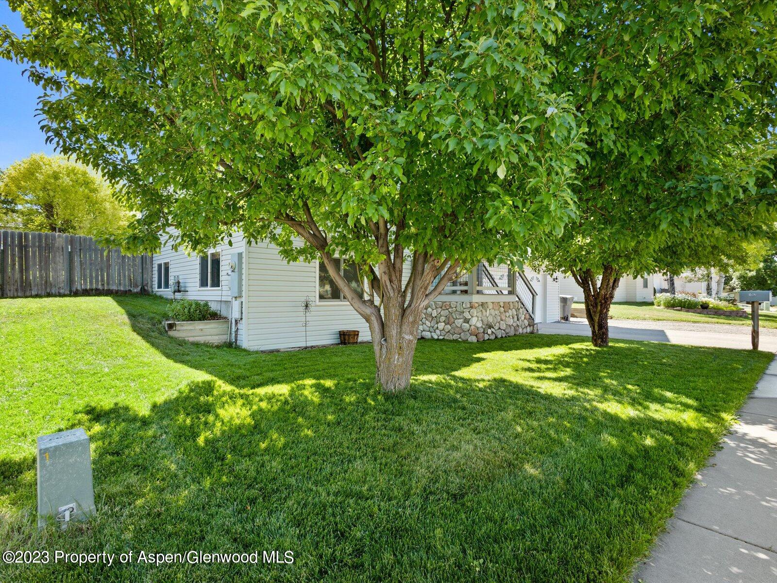 1562 Anvil View Avenue Rifle, CO 81650 - Photo 3 of 26 a view of a garden with a tree