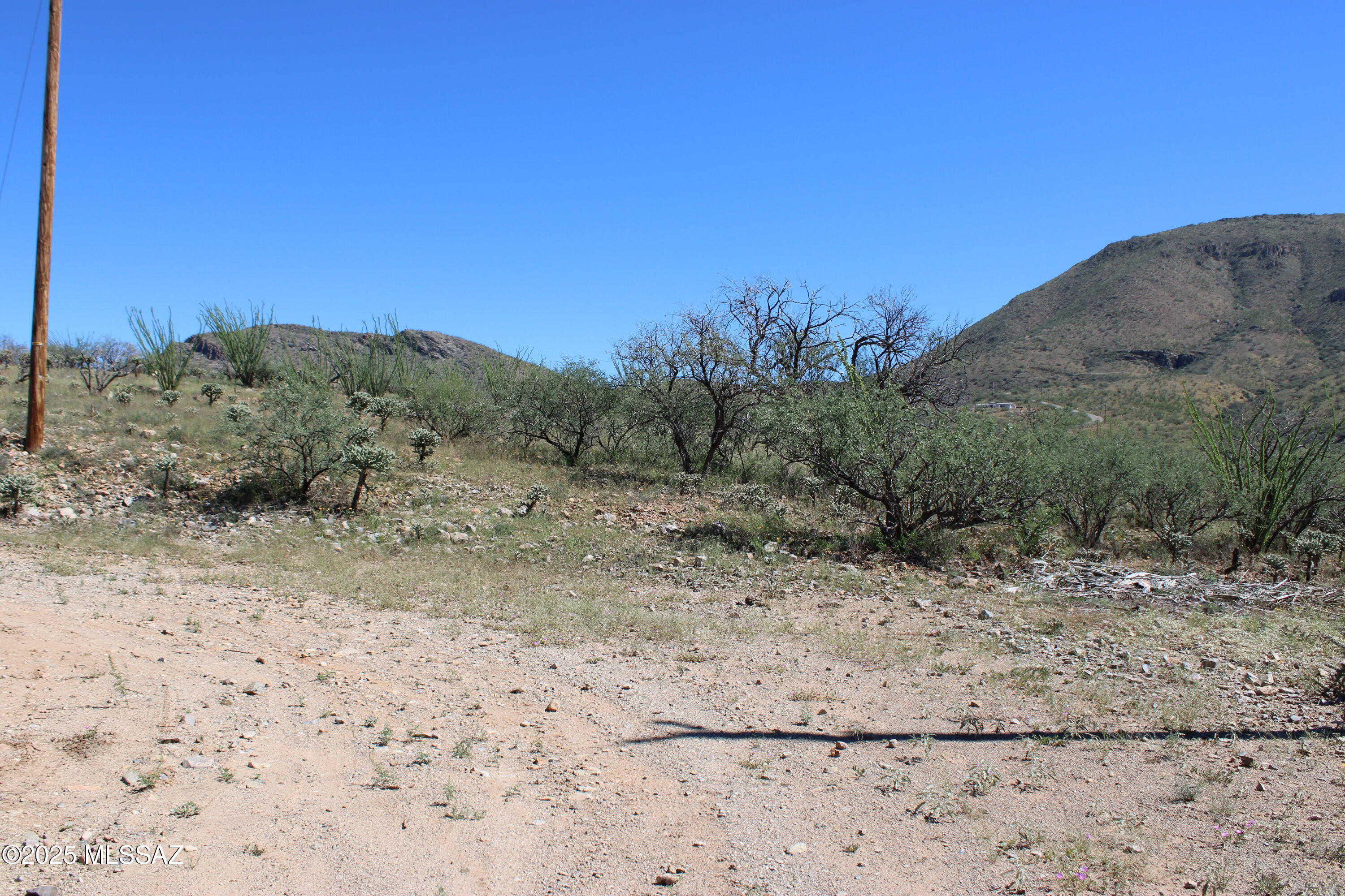 346 Anfibio Court, Unit 83 Rio Rico, AZ 85648 - Photo 8 of 14