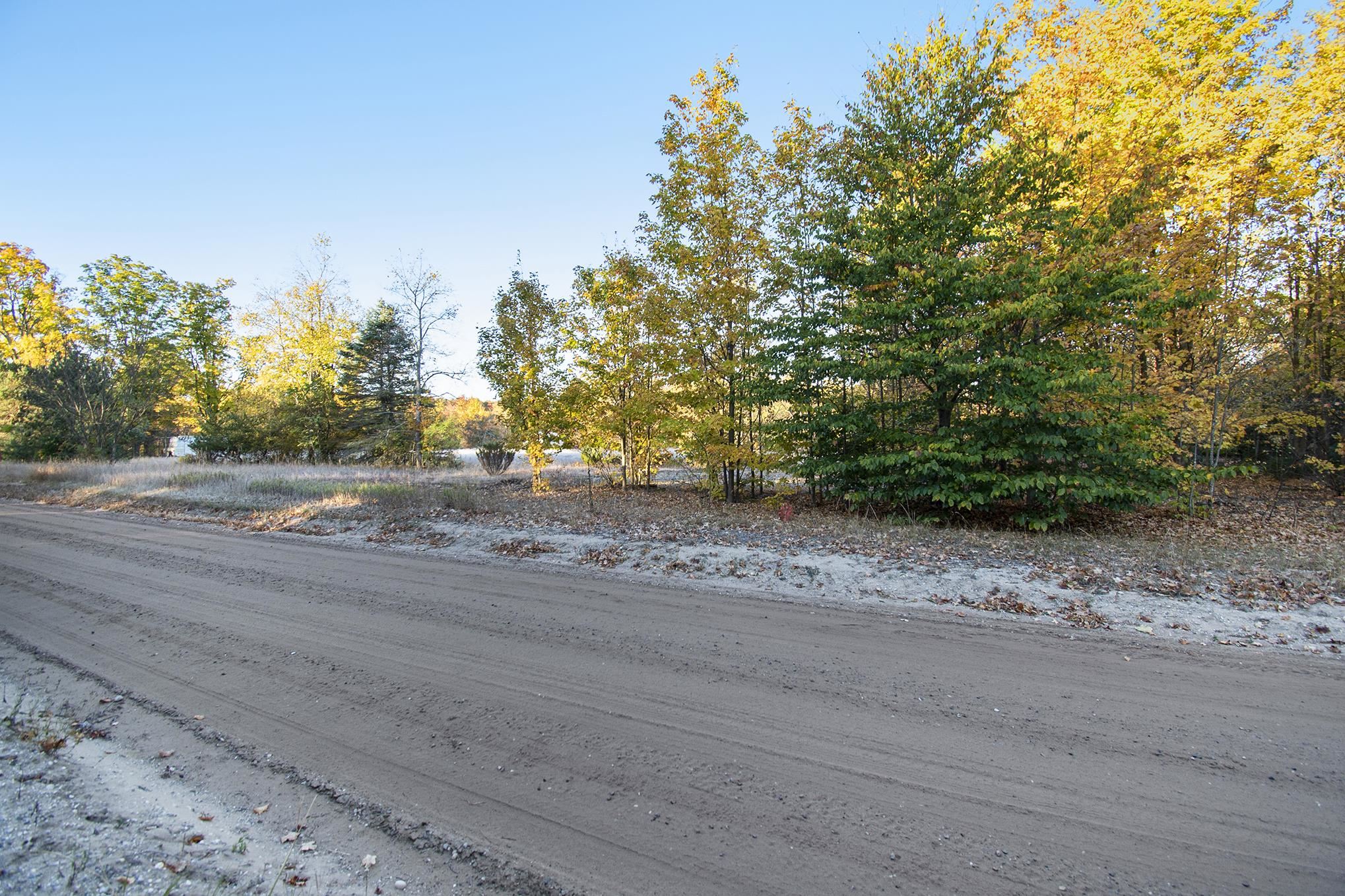 0 Pioneer Road Honor, MI 49640 - Photo 4 of 26