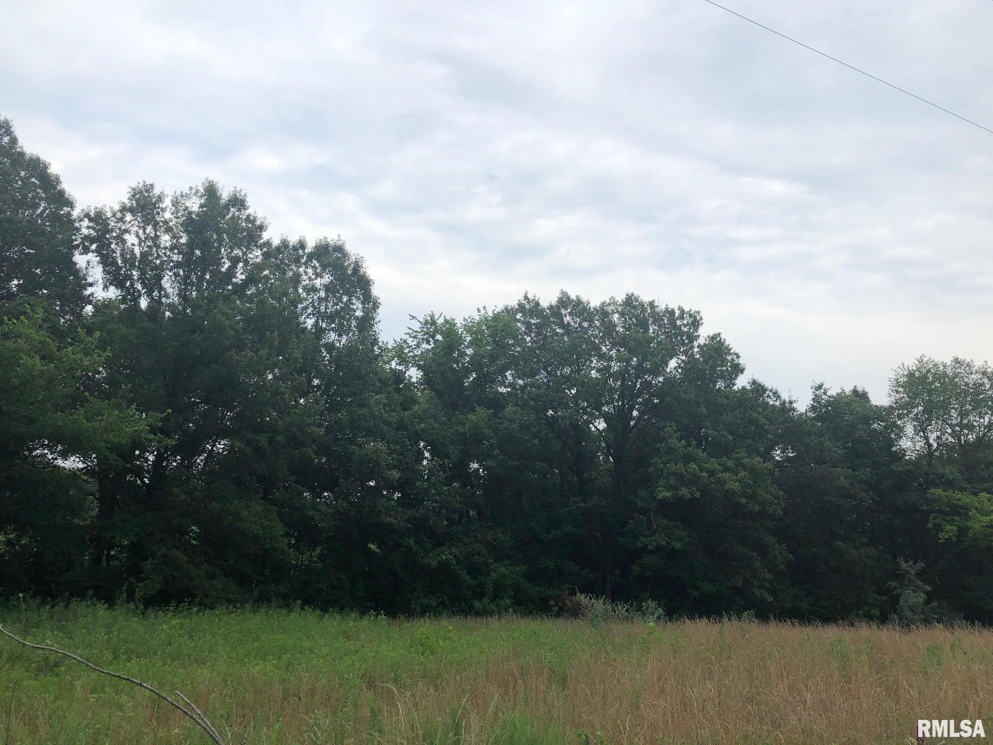 0 Tyler Bridge Road Creal Springs, IL 62922 - Photo 19 of 22