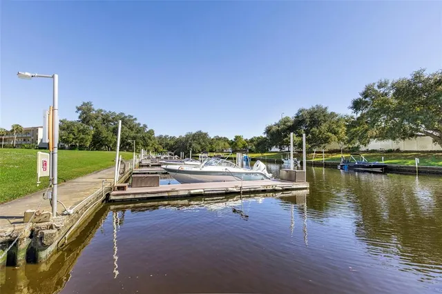 a view of a swimming pool with a chair and palm trees