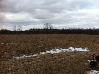 Approx. 38  Acres Tillable