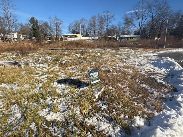 a view of dirt yard with a large tree