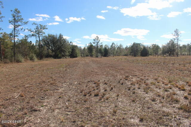 5015 Northwest County Road 274 Altha, FL 32421 - Photo 13 of 15