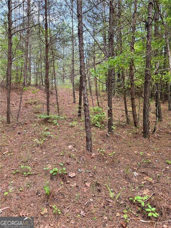 0 Old Shyers Ford Road Talking Rock, GA 30175 - Photo 1 of 1