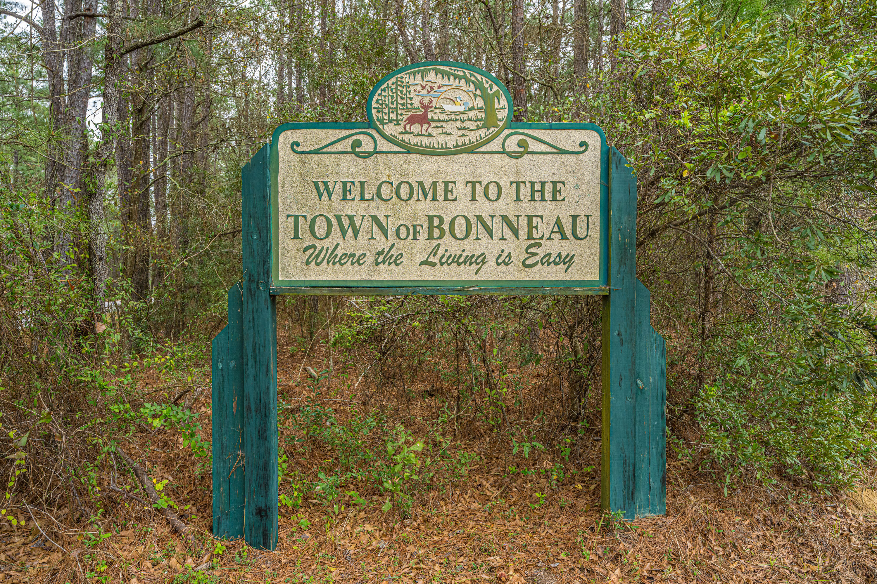 164 Albacore Road Bonneau, SC 29431 - Photo 60 of 72 Bonneau001