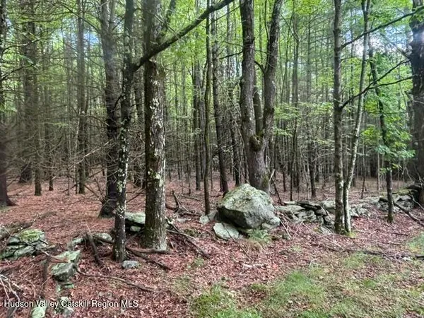 $75,000 | 0 Cangiano Drive, Prattsville, NY 12468
