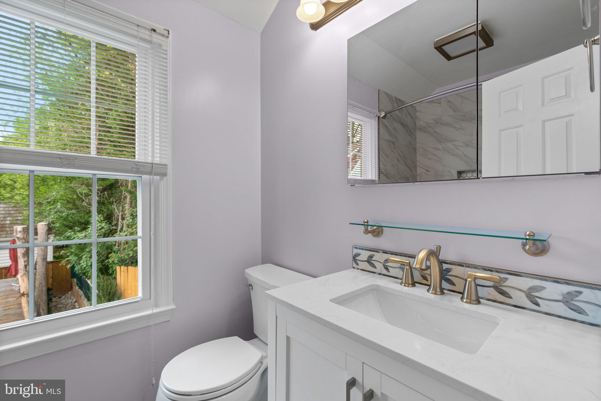 2 Oxley Square Road Gaithersburg, MD 20877 - Photo 30 of 49 a bathroom with a sink a toilet and a window