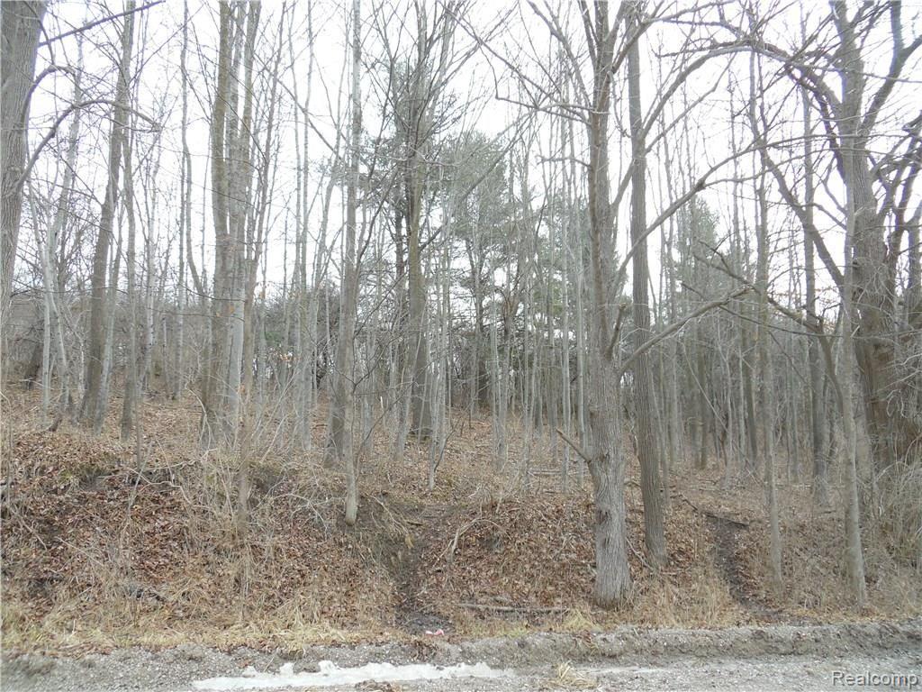 3 South Mill Road Oxford, MI 48371 - Photo 1 of 1