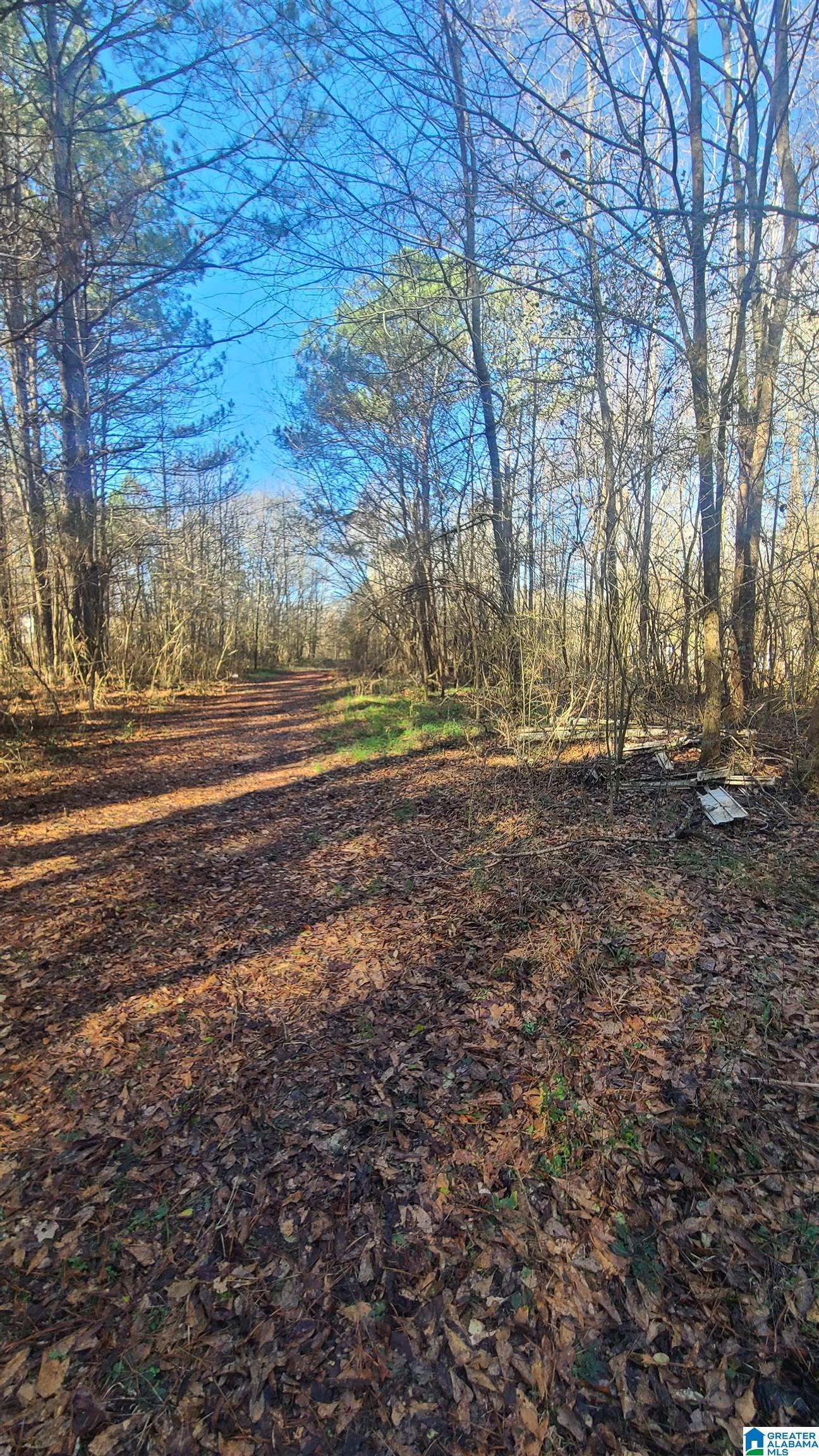 0 Jeremy Lane, Unit 1 Lincoln, AL 35096 - Photo 6 of 6
