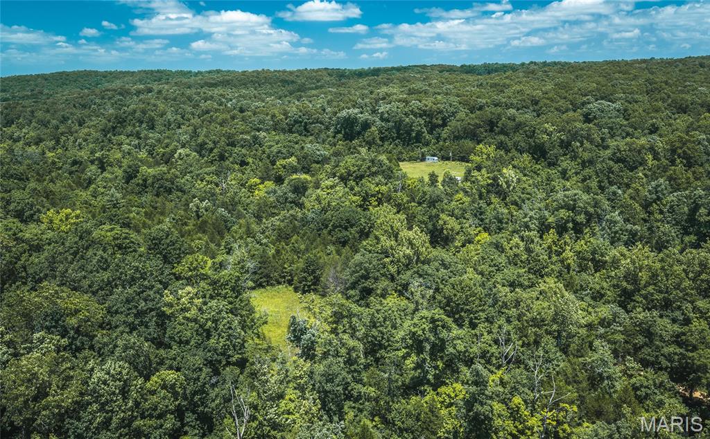 0 Czar Tower Road Steelville, MO 65565 - Photo 16 of 19
