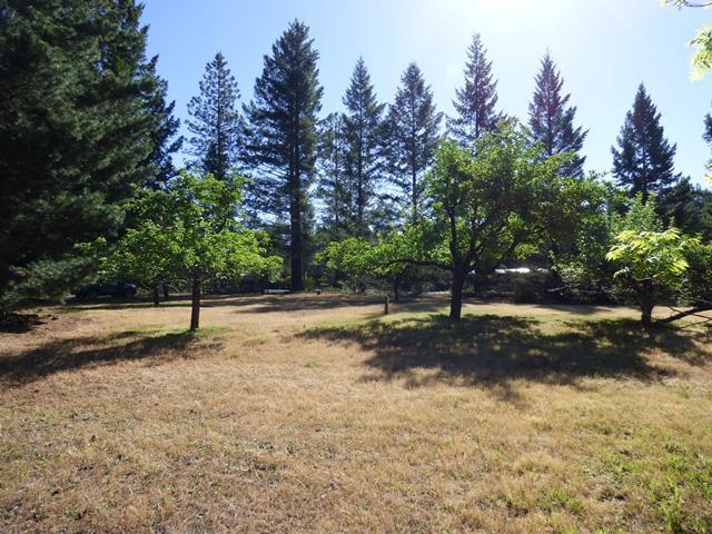 654 Naue Way O'Brien, OR 97534 - Photo 4 of 27 Fruit trees and room for a garden!