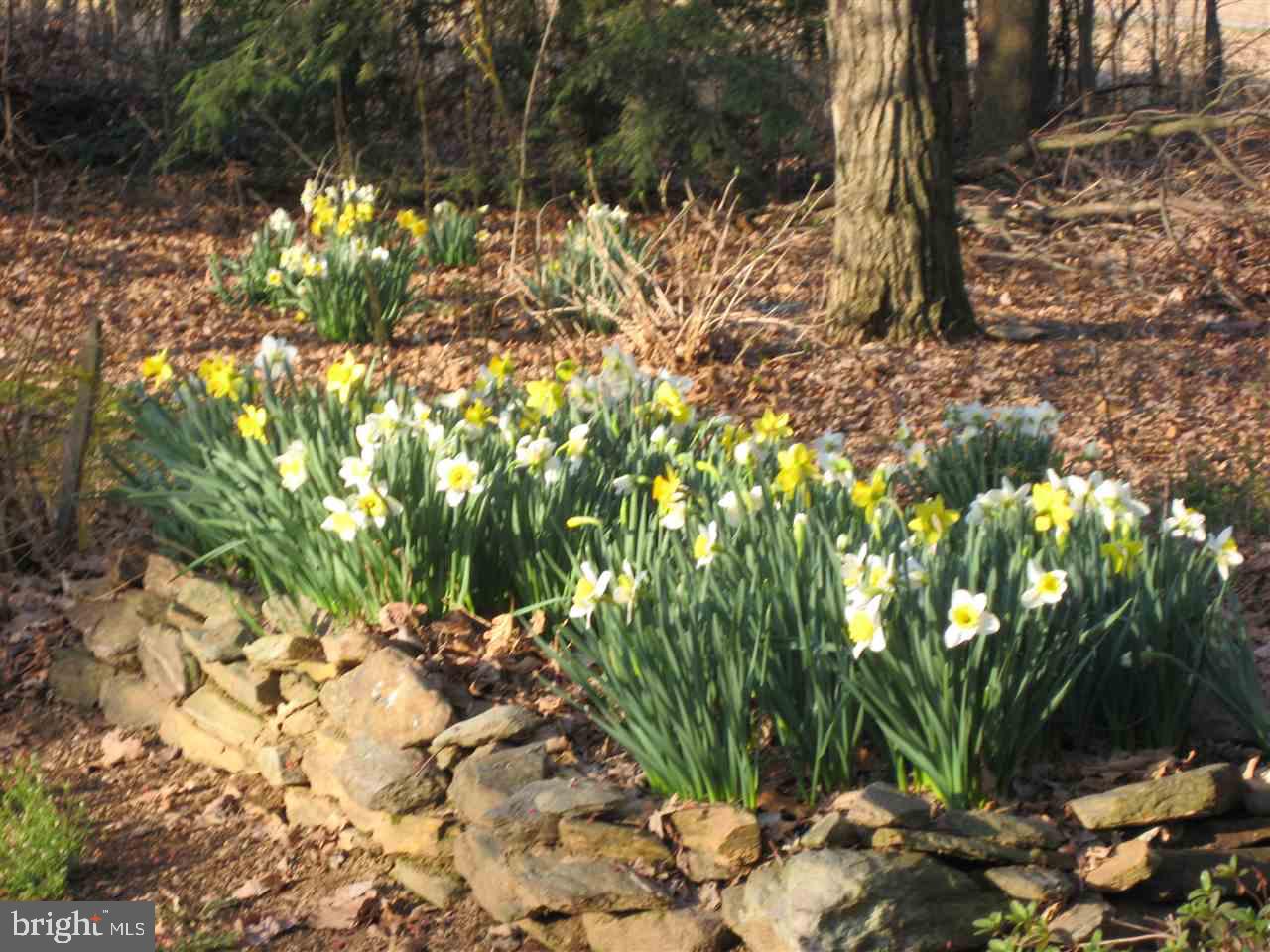 5047 Walters Hatchery Road Spring Grove, PA 17362 - Photo 28 of 32