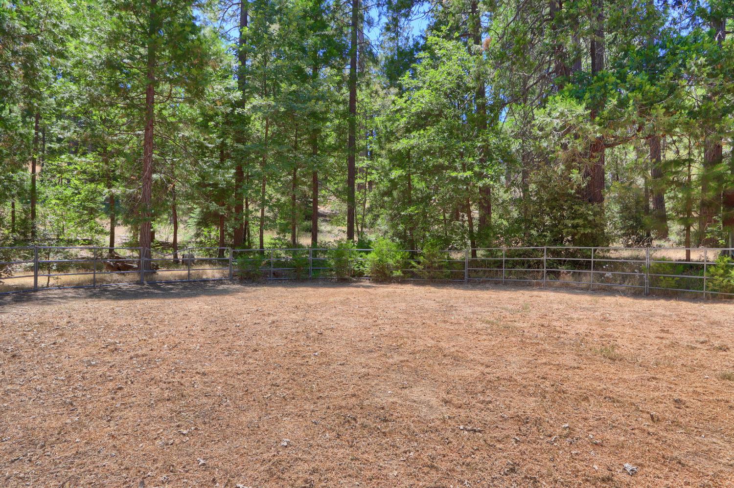 7190 Hites Cove Road Mariposa, CA 95338 - Photo 49 of 61 a view of outdoor space with trees