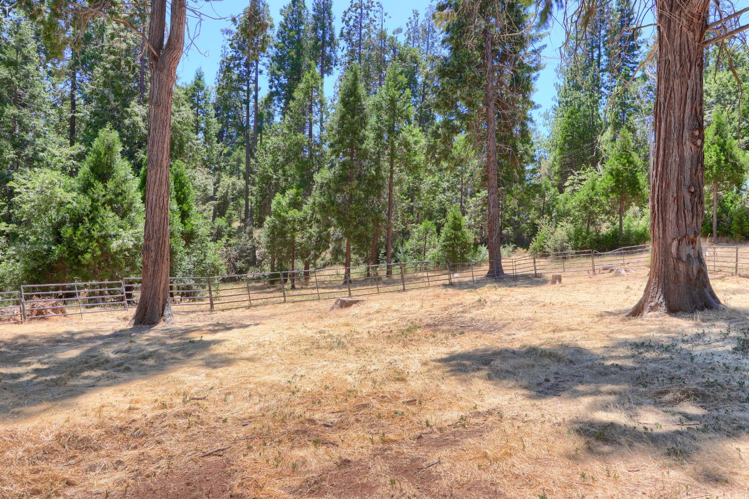 7190 Hites Cove Road Mariposa, CA 95338 - Photo 50 of 61 a view of outdoor space with trees