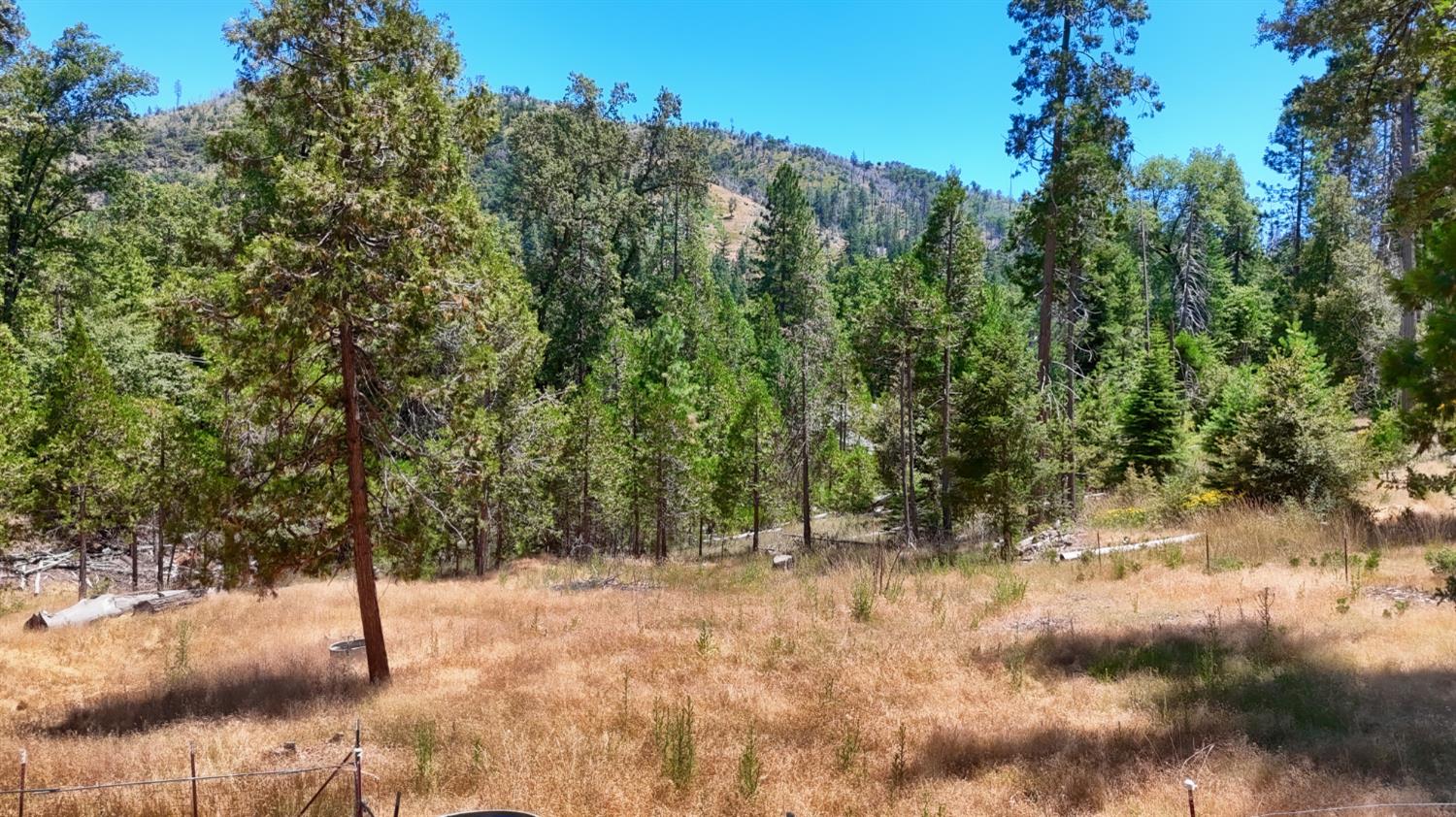 7190 Hites Cove Road Mariposa, CA 95338 - Photo 54 of 61 a view of outdoor space and trees