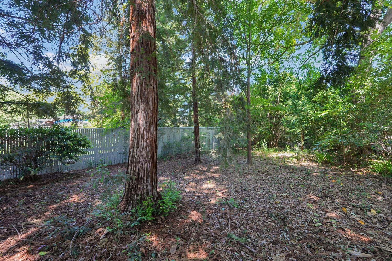 6112 Slaton Court Stockton, CA 95215 - Photo 30 of 46 a view of a forest filled with trees