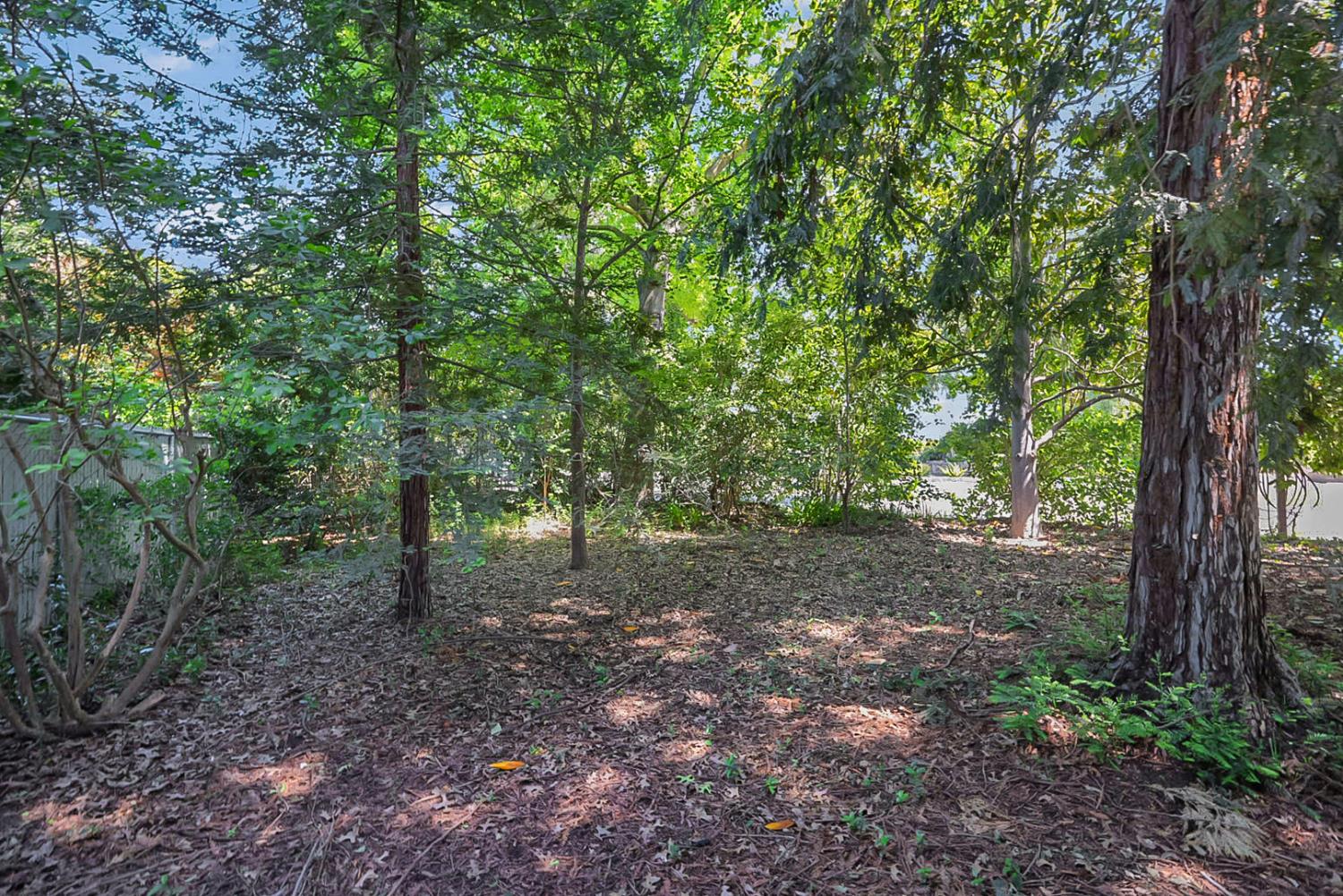 6112 Slaton Court Stockton, CA 95215 - Photo 31 of 46 a view of a forest that has large trees