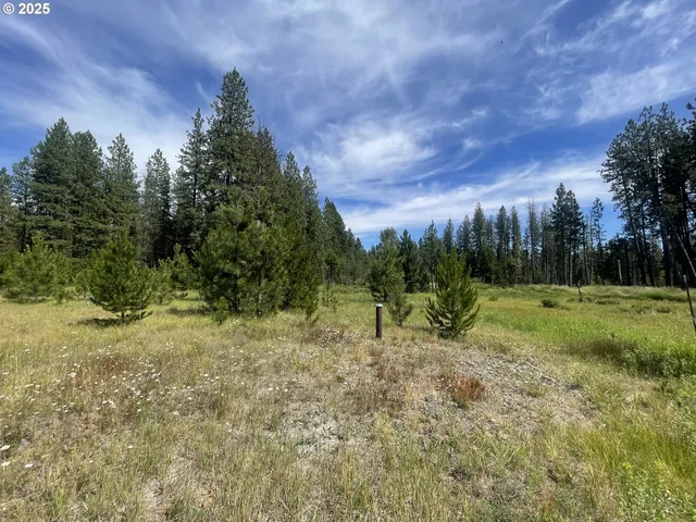 a view of an outdoor space and yard