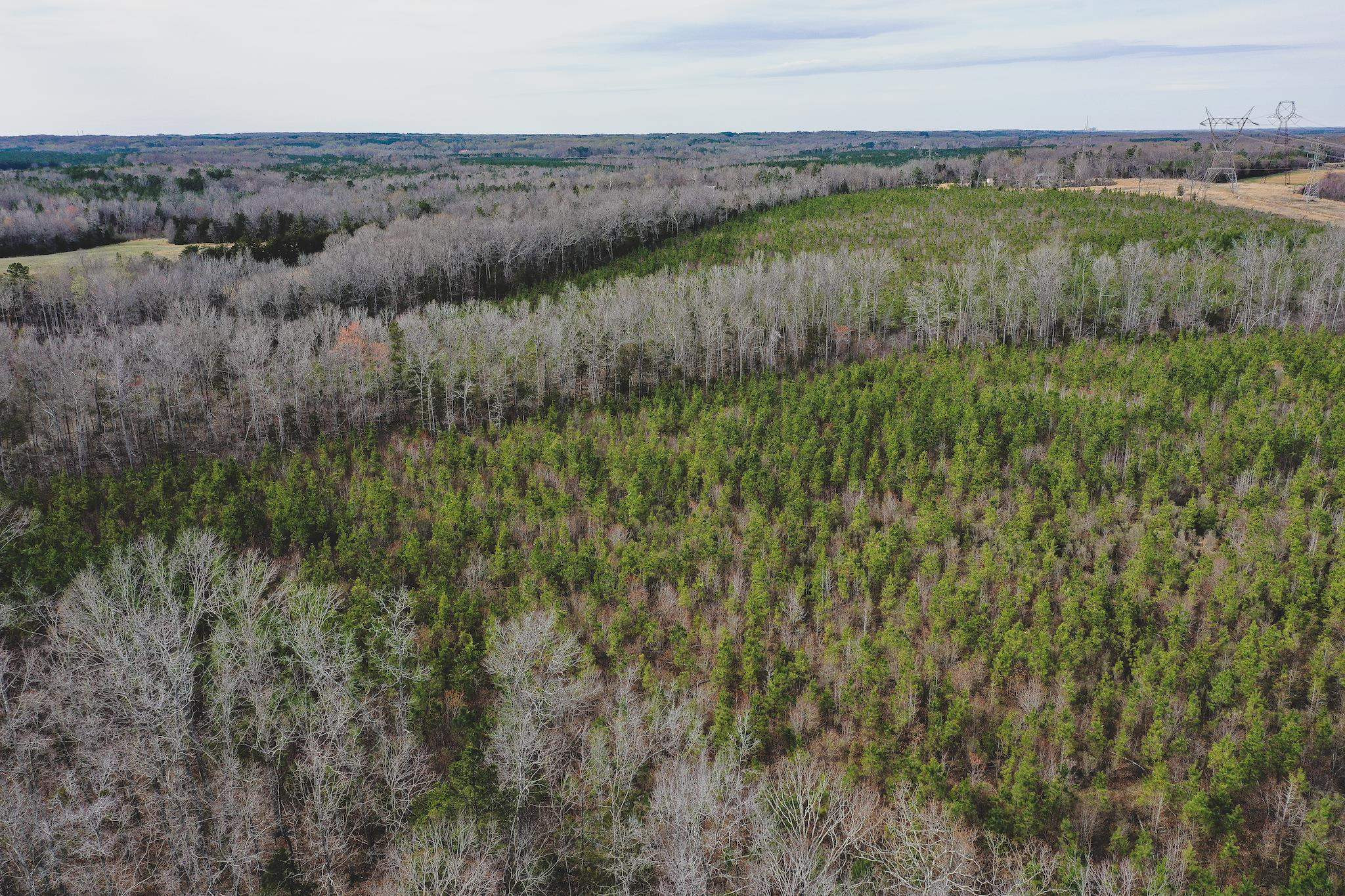 103-ac Pulliam-Tingen Mine Road Roxboro, NC 27574 - Photo 6 of 30 Photo 6