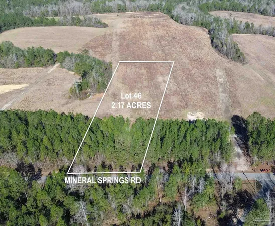 $62,500 | Lot 46 Mineral Springs Road, Jay, FL 32565