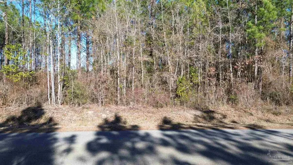 $62,500 | Lot 46 Mineral Springs Road, Jay, FL 32565