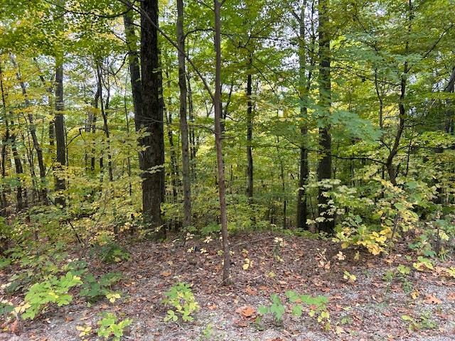 0 Mt Anthony Road Bennington, VT 05201 - Photo 1 of 1 Gallery Image 1