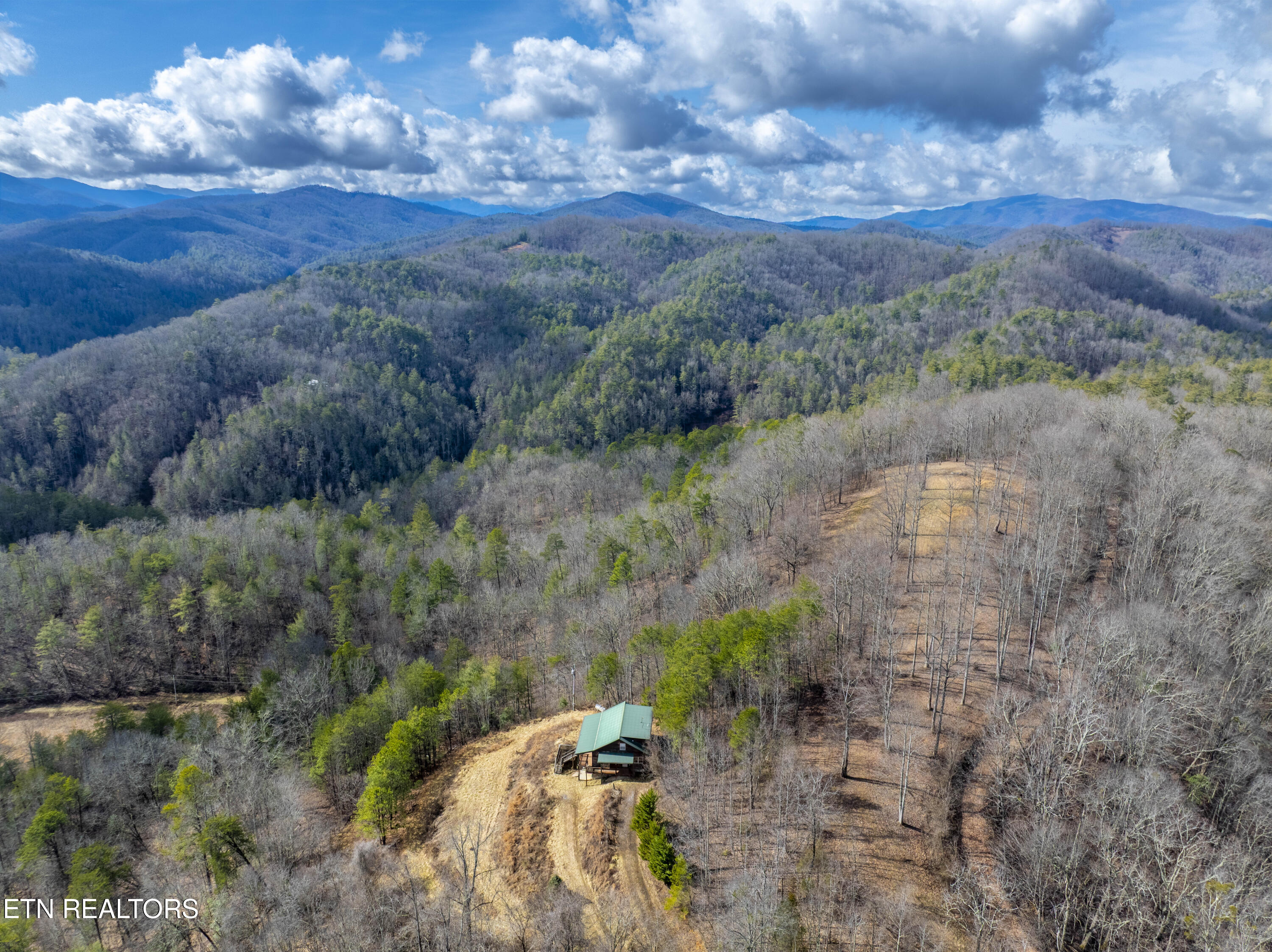 1015 Kizzy Patch Way Del Rio, TN 37727 - Photo 39 of 46 DJI_0778-HDR