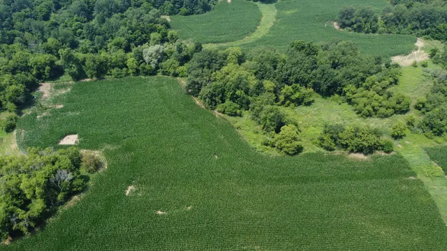 $799,900 | 20664 Allen Road, Manchester, MI 48158