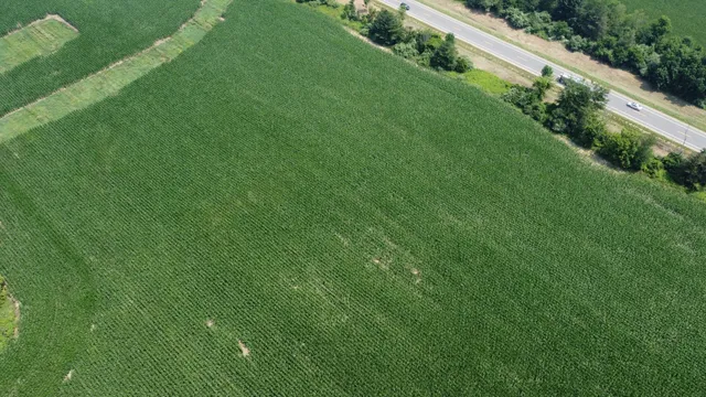 $799,900 | 20664 Allen Road, Manchester, MI 48158