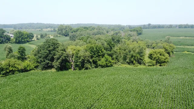 $799,900 | 20664 Allen Road, Manchester, MI 48158