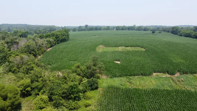 $799,900 | 20664 Allen Road, Manchester, MI 48158