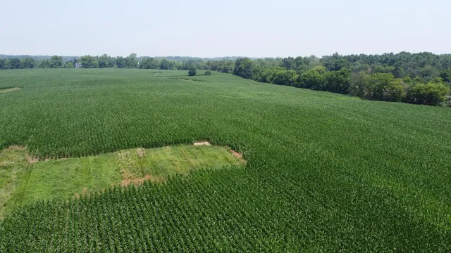 $799,900 | 20664 Allen Road, Manchester, MI 48158