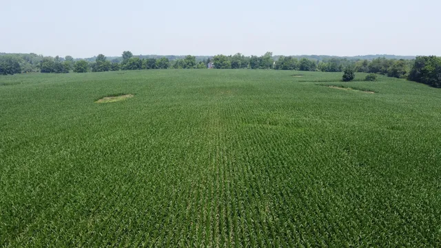 $799,900 | 20664 Allen Road, Manchester, MI 48158