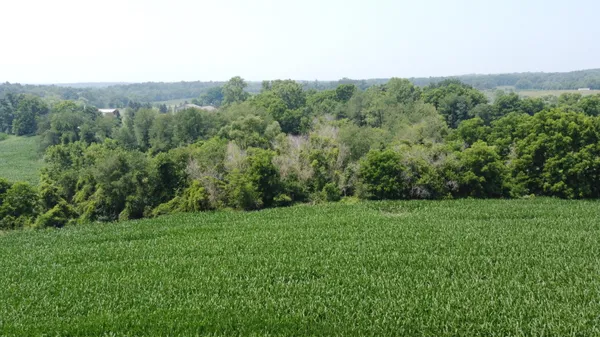 $649,000 | 20664 Allen Road, Manchester, MI 48158
