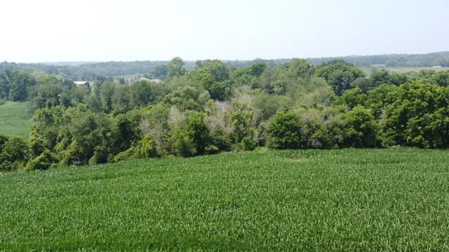 $799,900 | 20664 Allen Road, Manchester, MI 48158