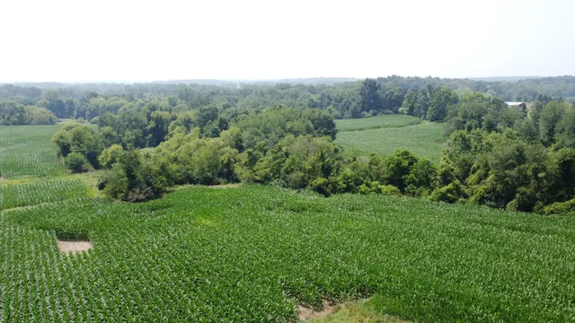 $799,900 | 20664 Allen Road, Manchester, MI 48158