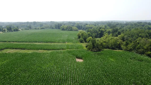 $799,900 | 20664 Allen Road, Manchester, MI 48158