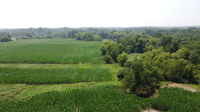 $799,900 | 20664 Allen Road, Manchester, MI 48158