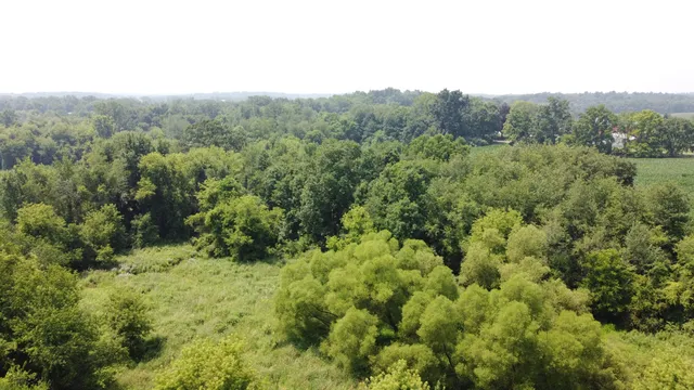 $799,900 | 20664 Allen Road, Manchester, MI 48158