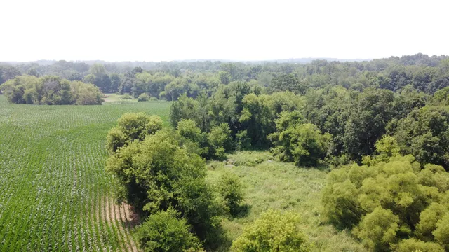 $799,900 | 20664 Allen Road, Manchester, MI 48158