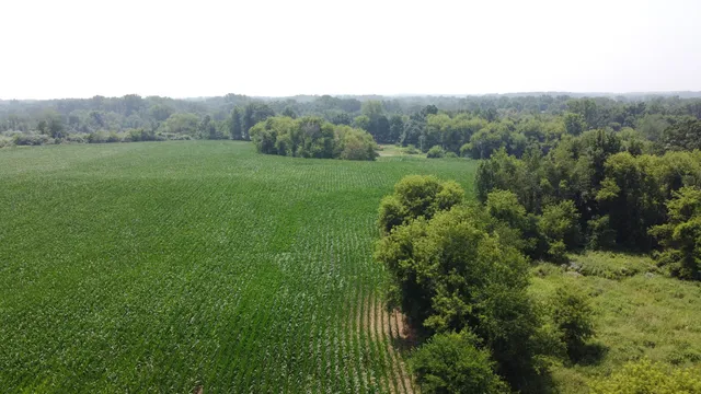 $799,900 | 20664 Allen Road, Manchester, MI 48158